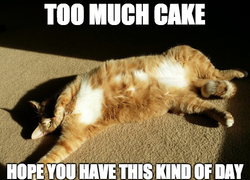 too much cake
