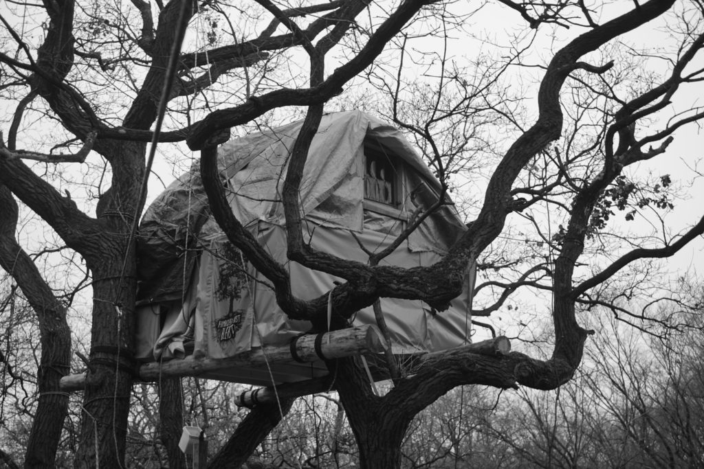 Blog - Hambacher Forst